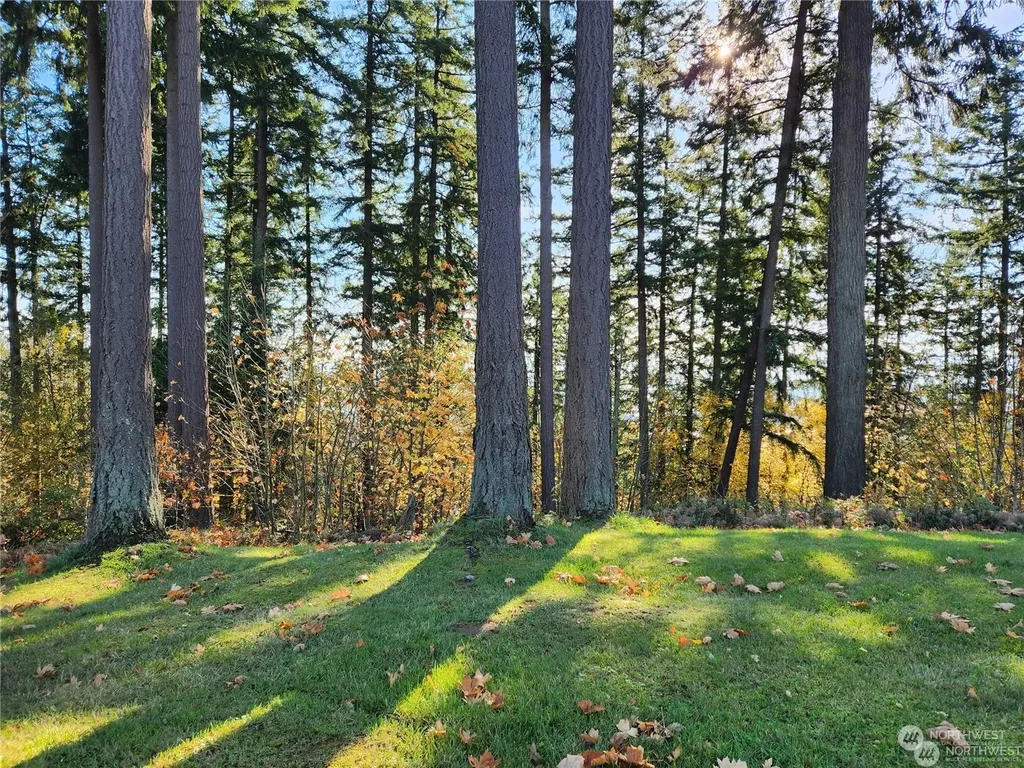 12 Forest Hill Estate Drive Longview WA 98632