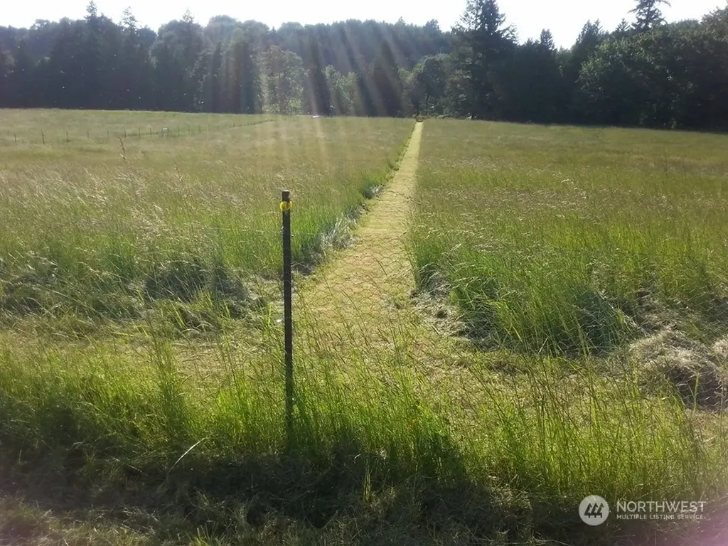 1377 Hining Road Winlock WA 98596