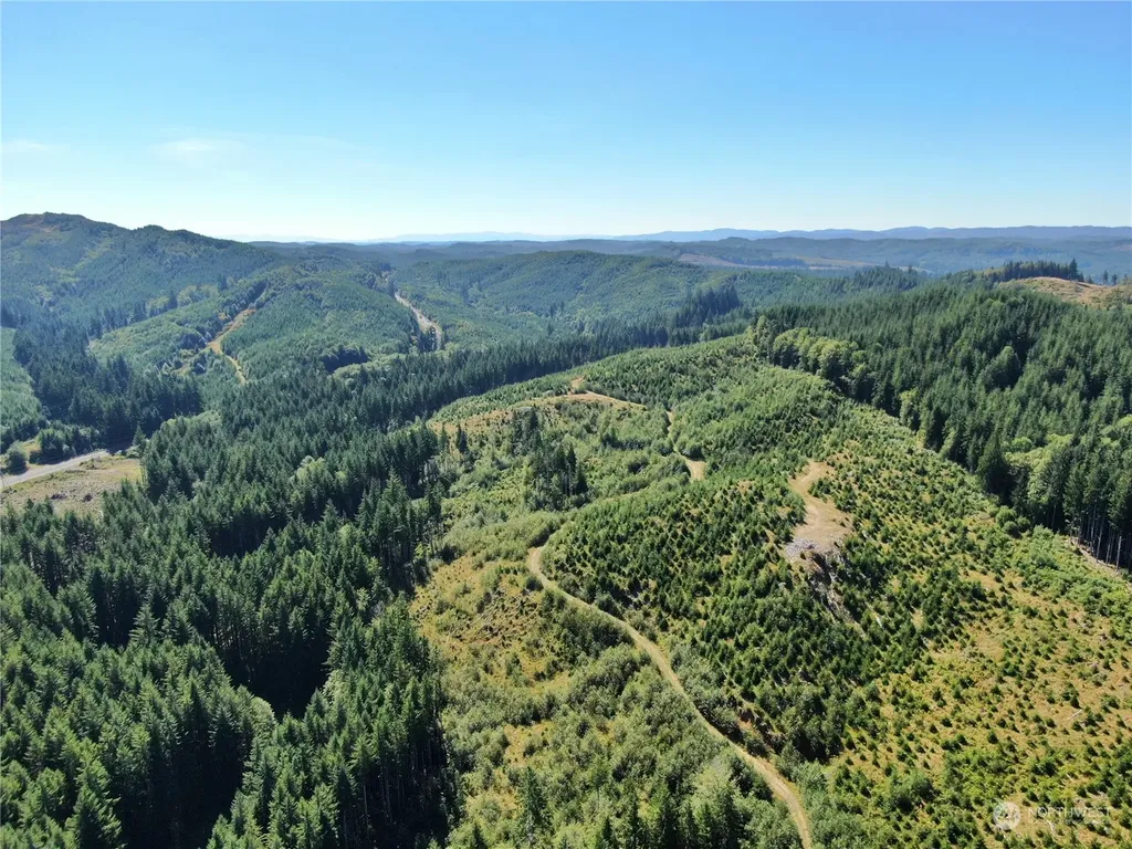 0 Lund Road Cosmopolis WA 98537