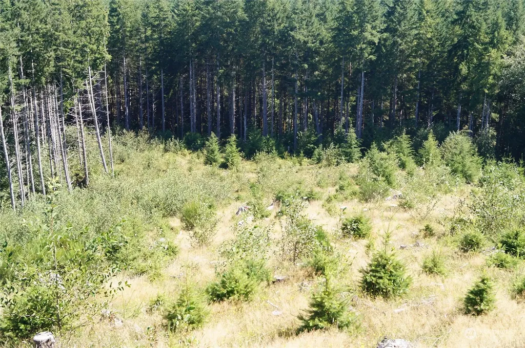 0 Lund Road Cosmopolis WA 98537