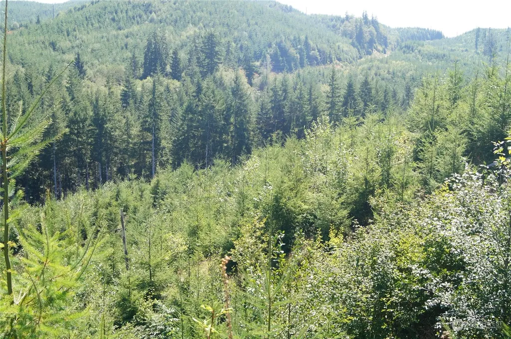0 Lund Road Cosmopolis WA 98537