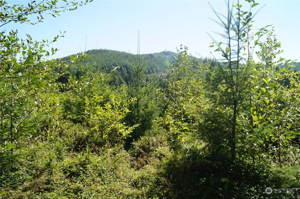 0 Lund Road Cosmopolis WA 98537