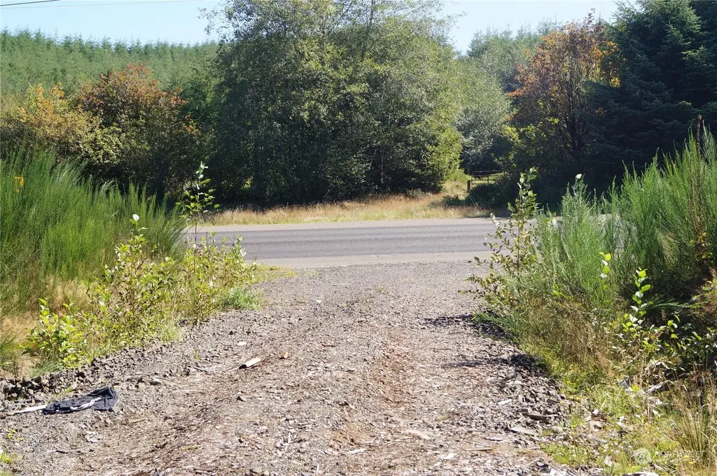 0 Lund Road Cosmopolis WA 98537