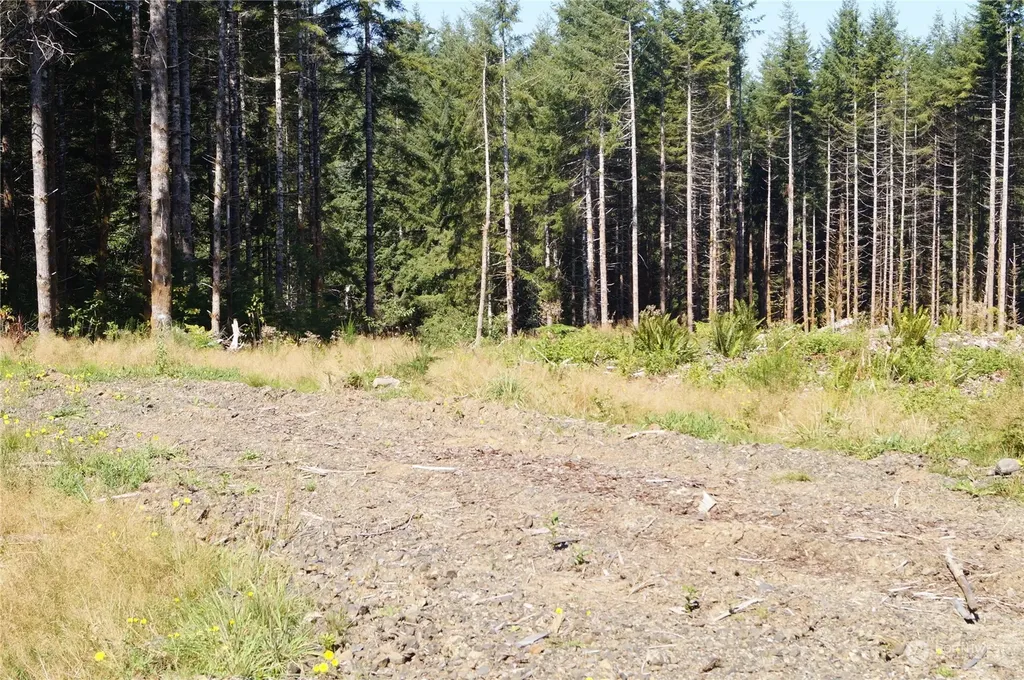 0 Lund Road Cosmopolis WA 98537