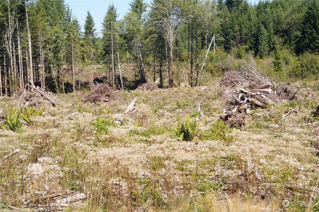 0 Lund Road Cosmopolis WA 98537