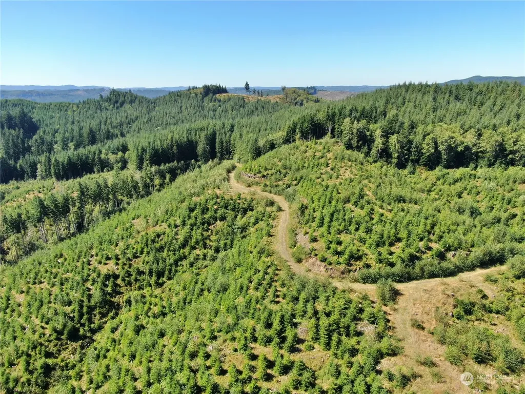 0 Lund Road Cosmopolis WA 98537