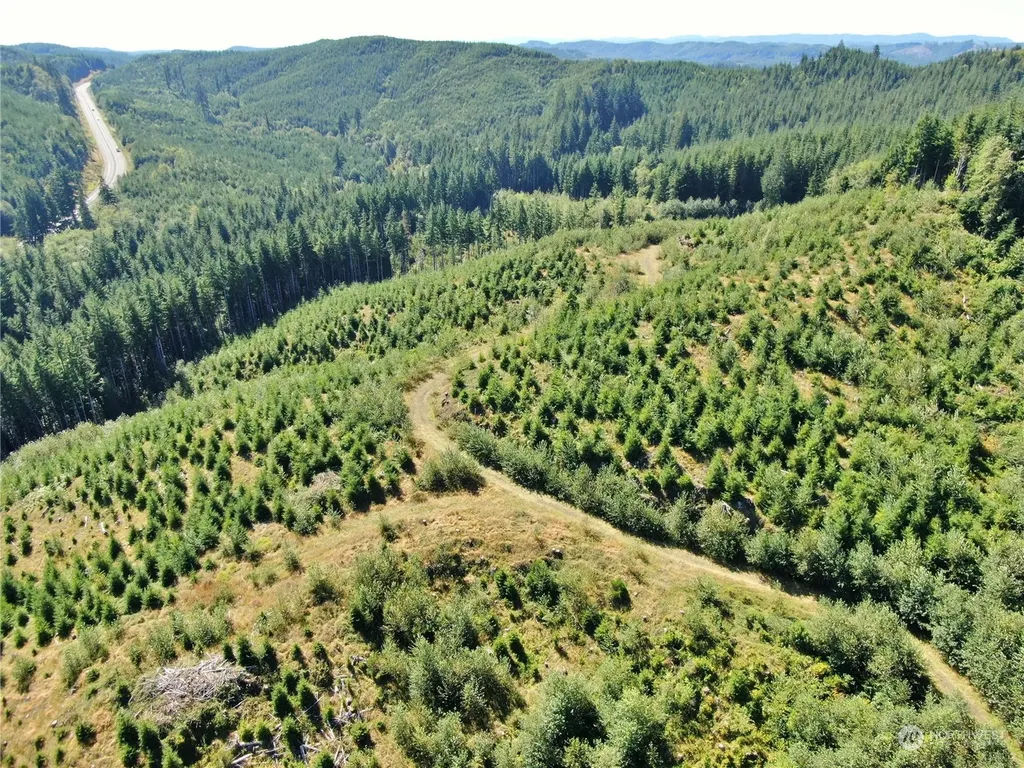 0 Lund Road Cosmopolis WA 98537