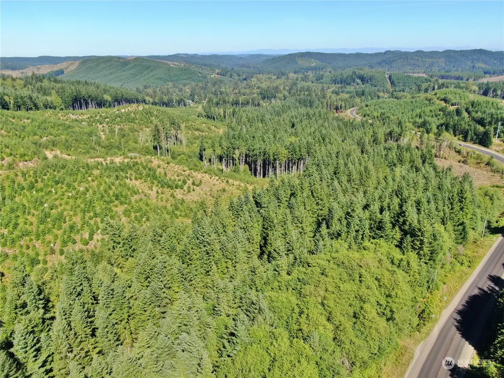 0 Lund Road Cosmopolis WA 98537