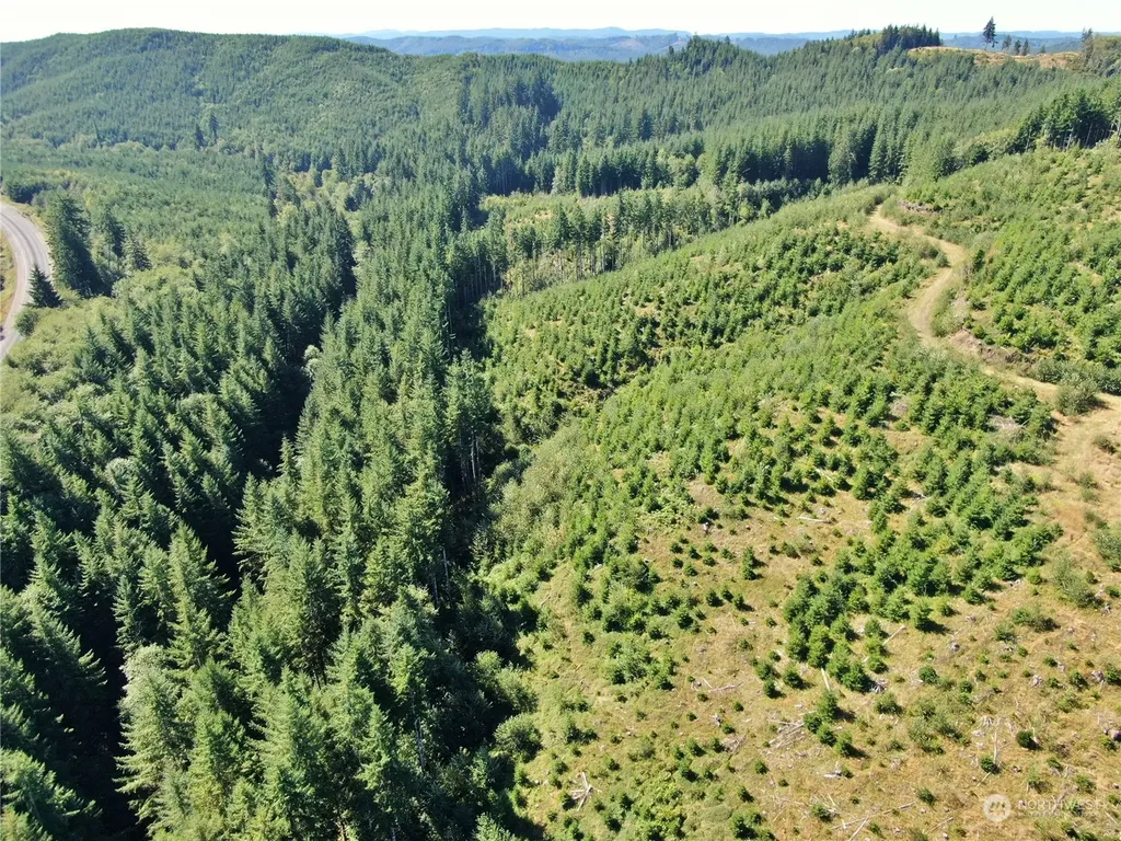 0 Lund Road Cosmopolis WA 98537