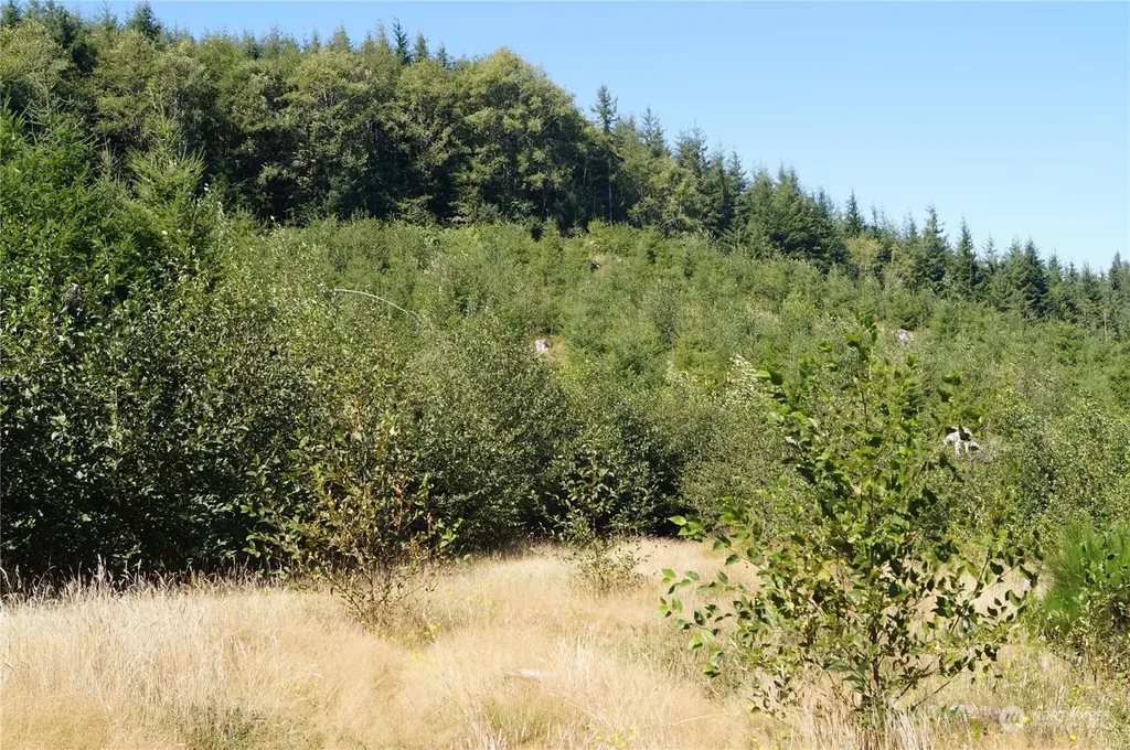 0 Lund Road Cosmopolis WA 98537
