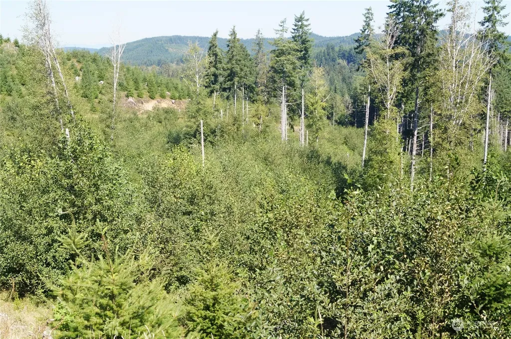 0 Lund Road Cosmopolis WA 98537