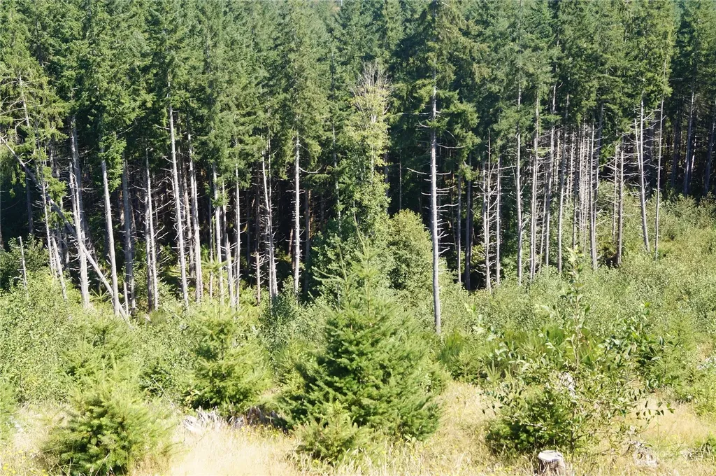 0 Lund Road Cosmopolis WA 98537