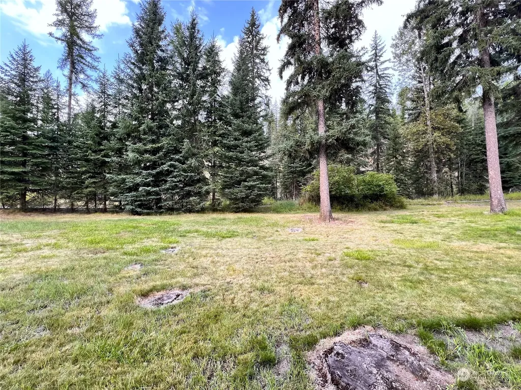 5 Vista Drive Republic WA 99166