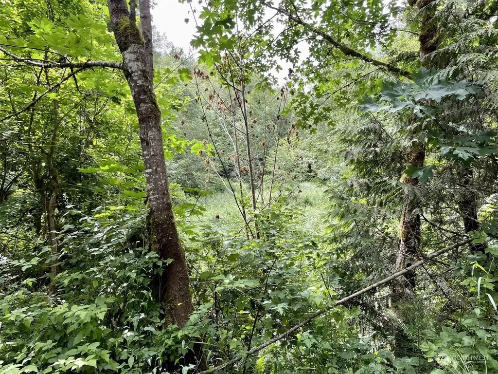 0 196th Avenue E Orting WA 98360
