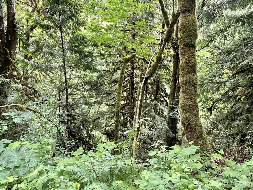 0 196th Avenue E Orting WA 98360