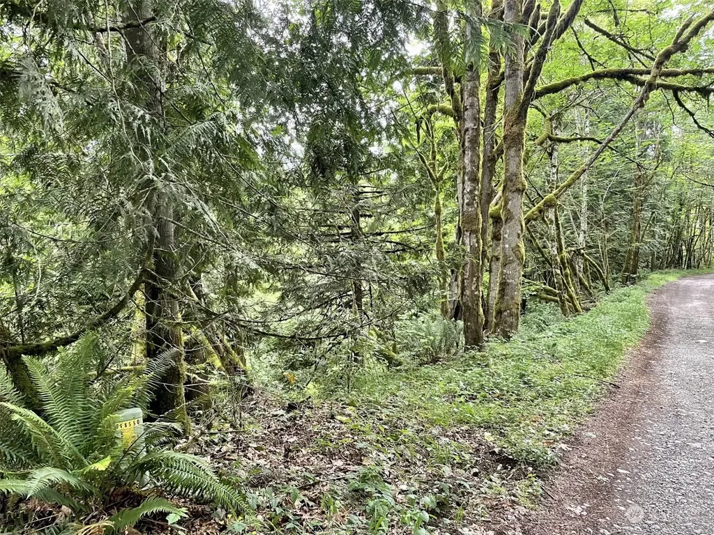0 196th Avenue E Orting WA 98360