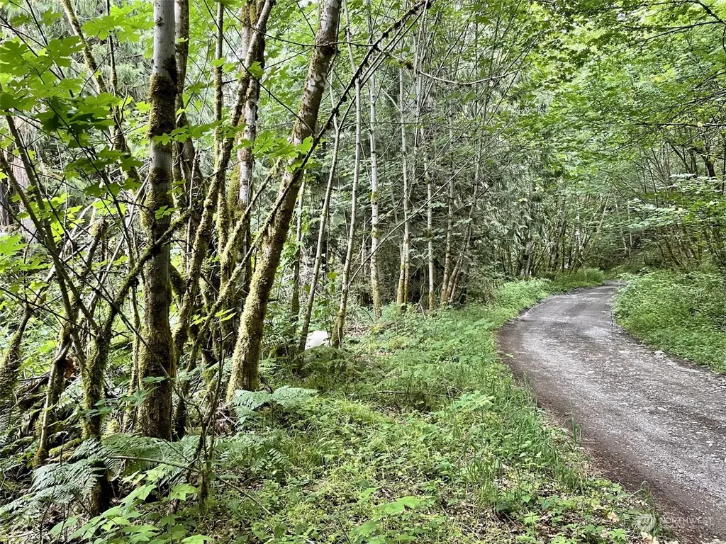 0 196th Avenue E Orting WA 98360