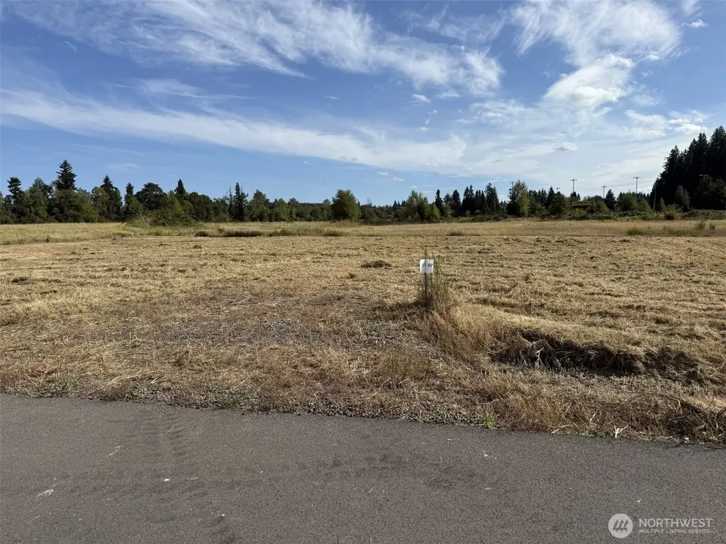 49 Sunburst Lane Onalaska WA 98570