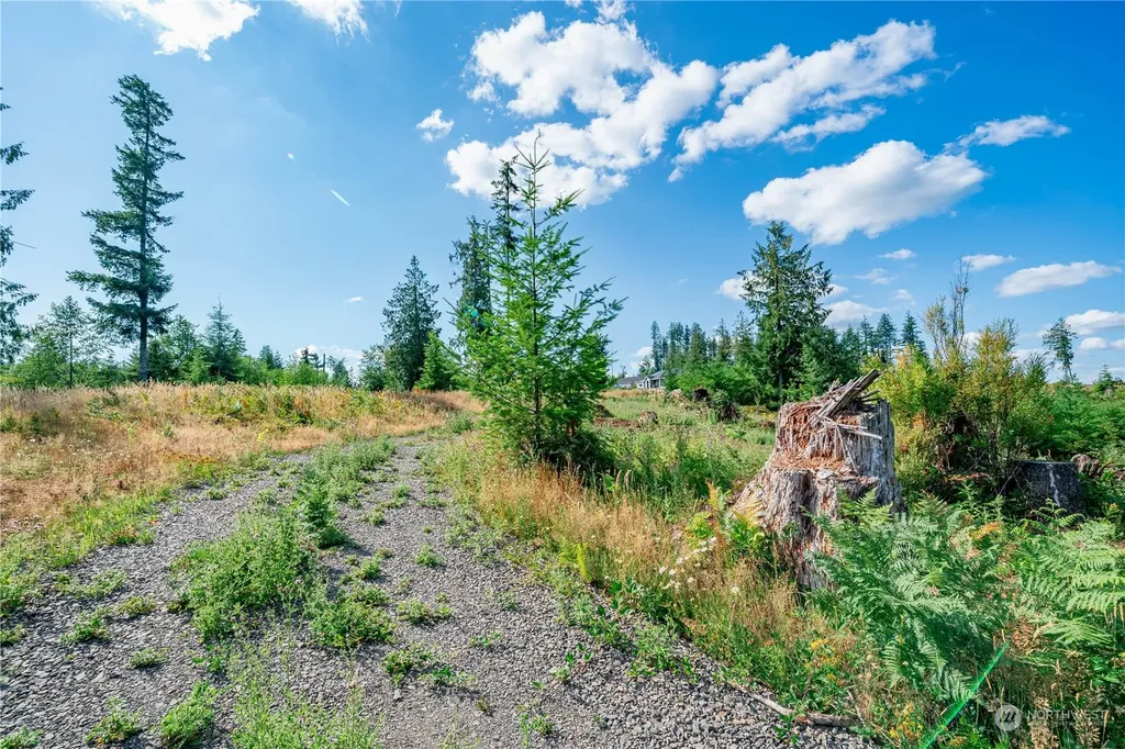 0 S Silver Lake Lot #8 Road Castle Rock WA 98611