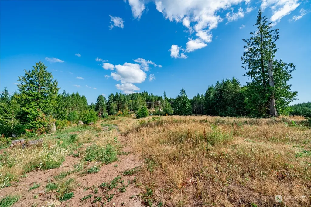 0 S Silver Lake Lot #8 Road Castle Rock WA 98611