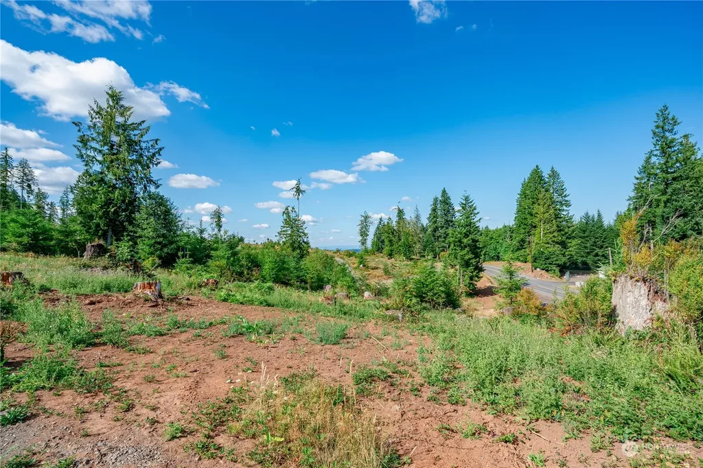 0 S Silver Lake Lot #8 Road Castle Rock WA 98611