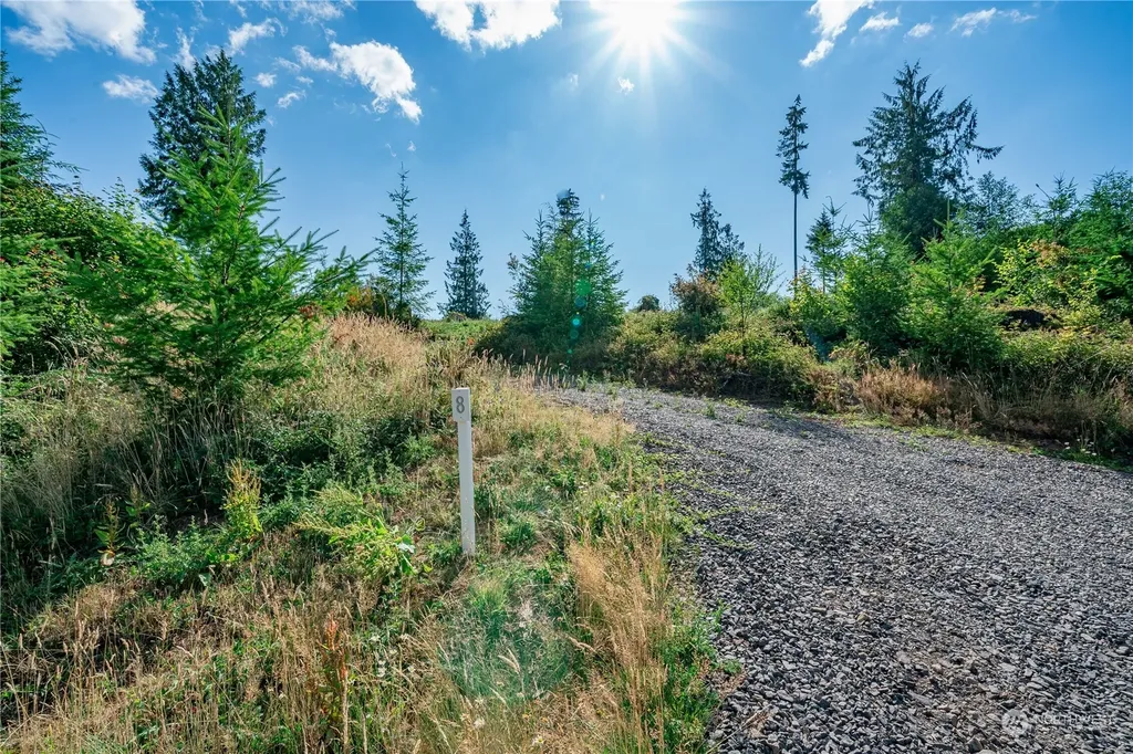 0 S Silver Lake Lot #8 Road Castle Rock WA 98611