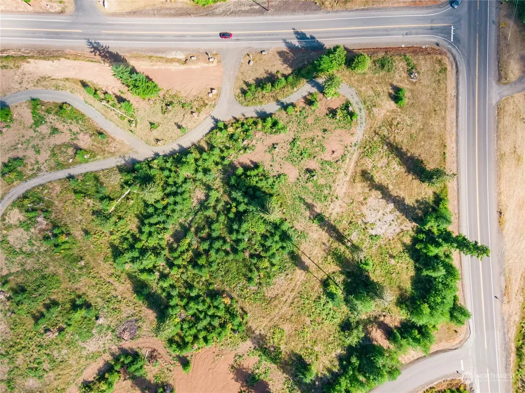 0 S Silver Lake Lot #8 Road Castle Rock WA 98611