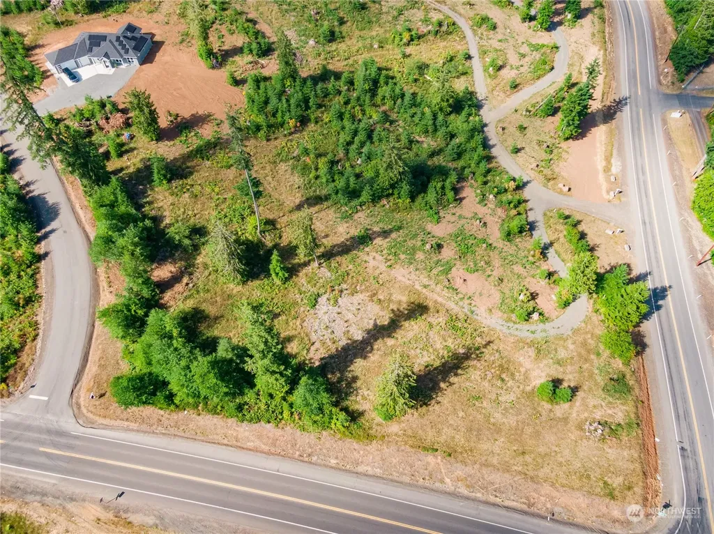 0 S Silver Lake Lot #8 Road Castle Rock WA 98611