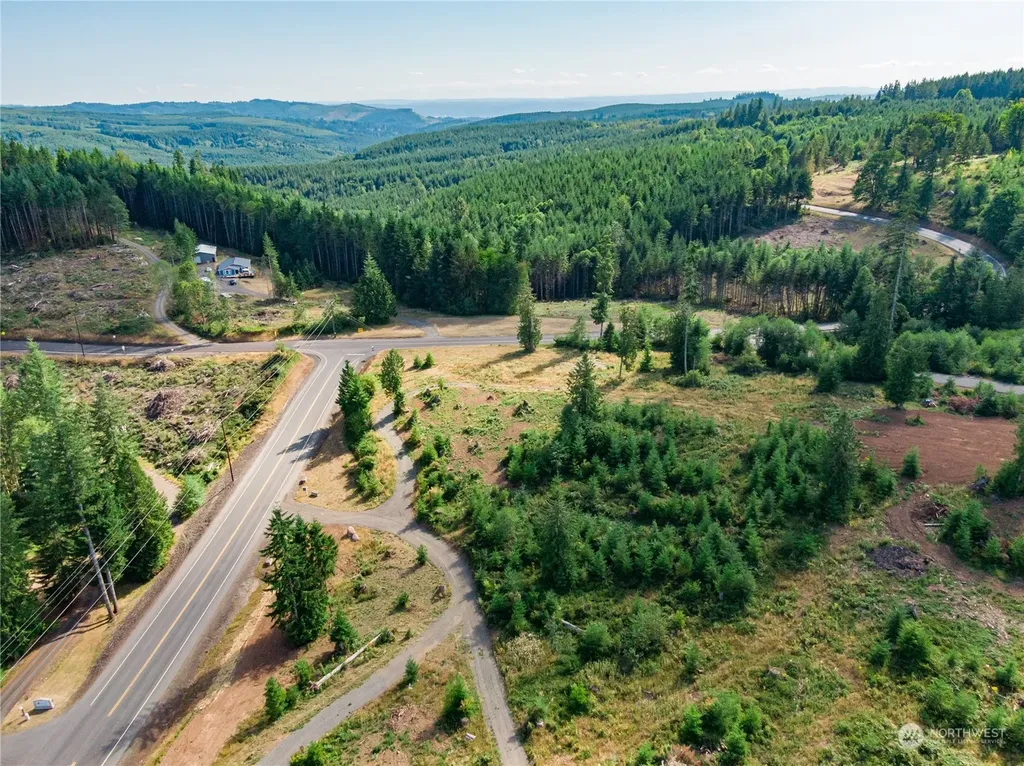 0 S Silver Lake Lot #8 Road Castle Rock WA 98611