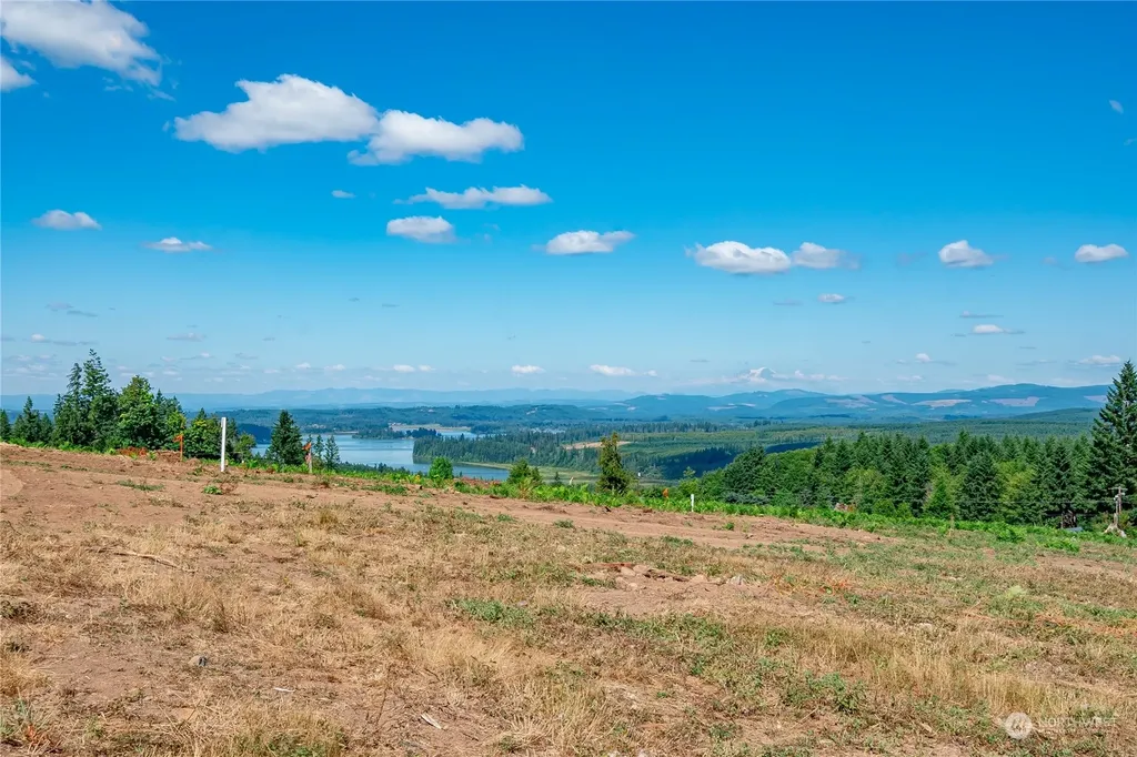 0 S Silver Lake Lot #5 Road Castle Rock WA 98611