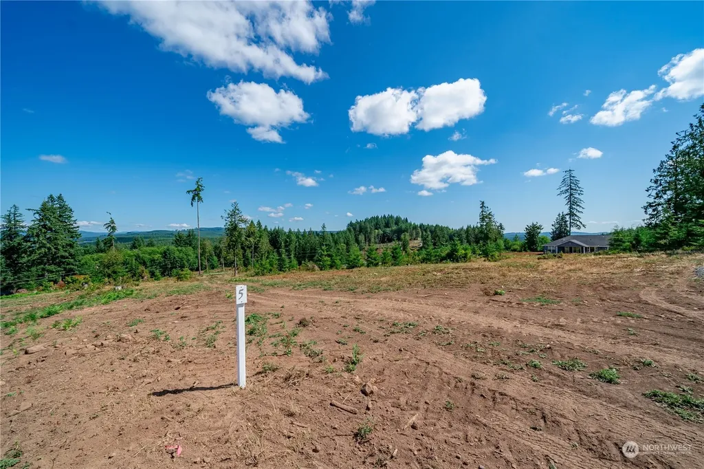 0 S Silver Lake Lot #5 Road Castle Rock WA 98611