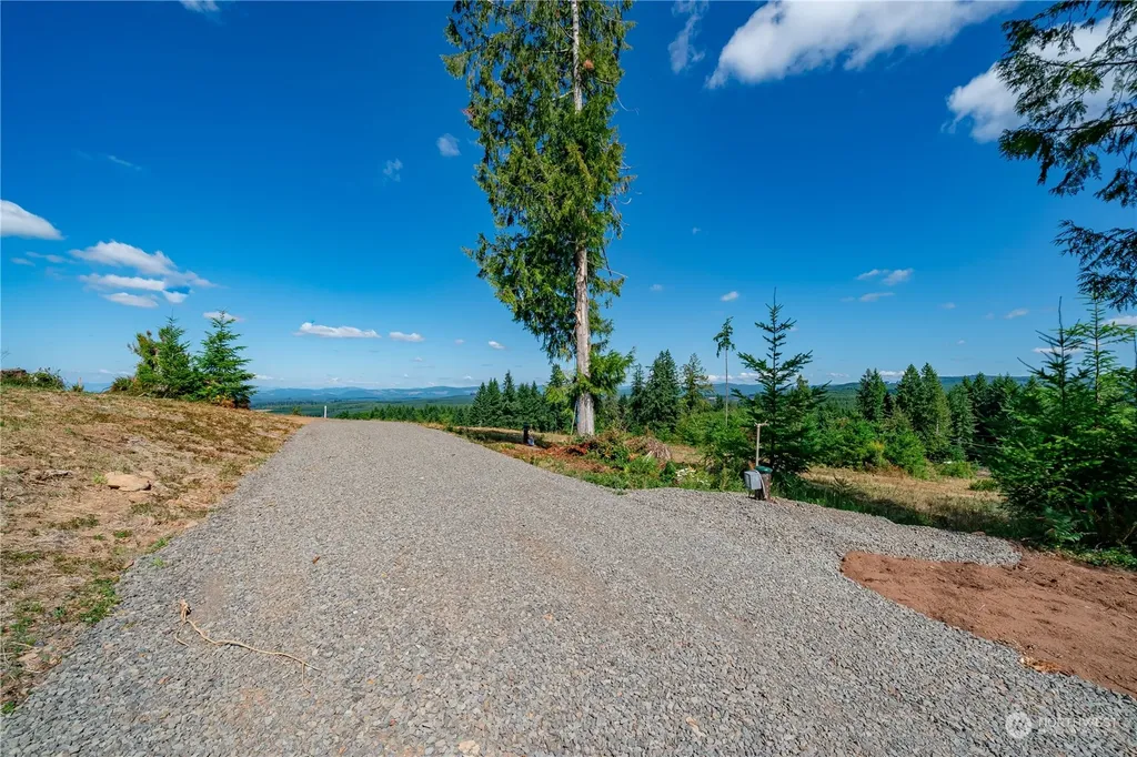 0 S Silver Lake Lot #5 Road Castle Rock WA 98611