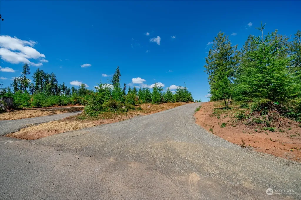 0 S Silver Lake Lot #5 Road Castle Rock WA 98611