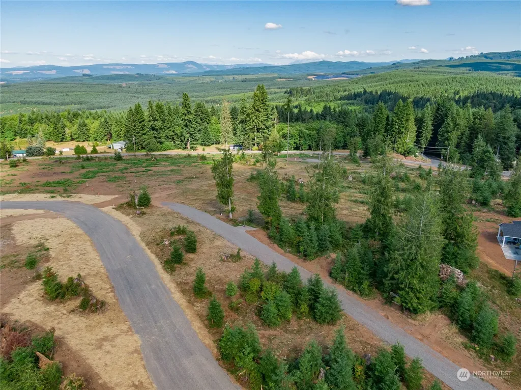 0 S Silver Lake Lot #5 Road Castle Rock WA 98611