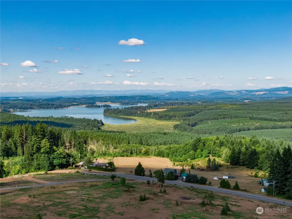 0 S Silver Lake Lot #5 Road Castle Rock WA 98611