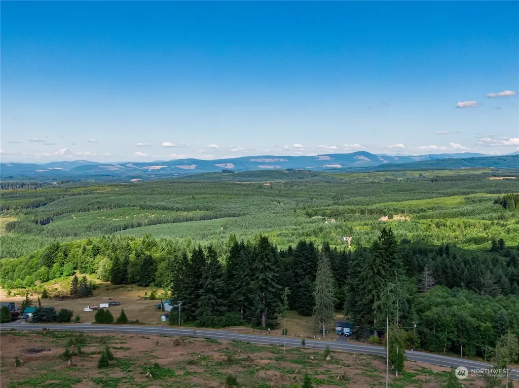 0 S Silver Lake Lot #5 Road Castle Rock WA 98611
