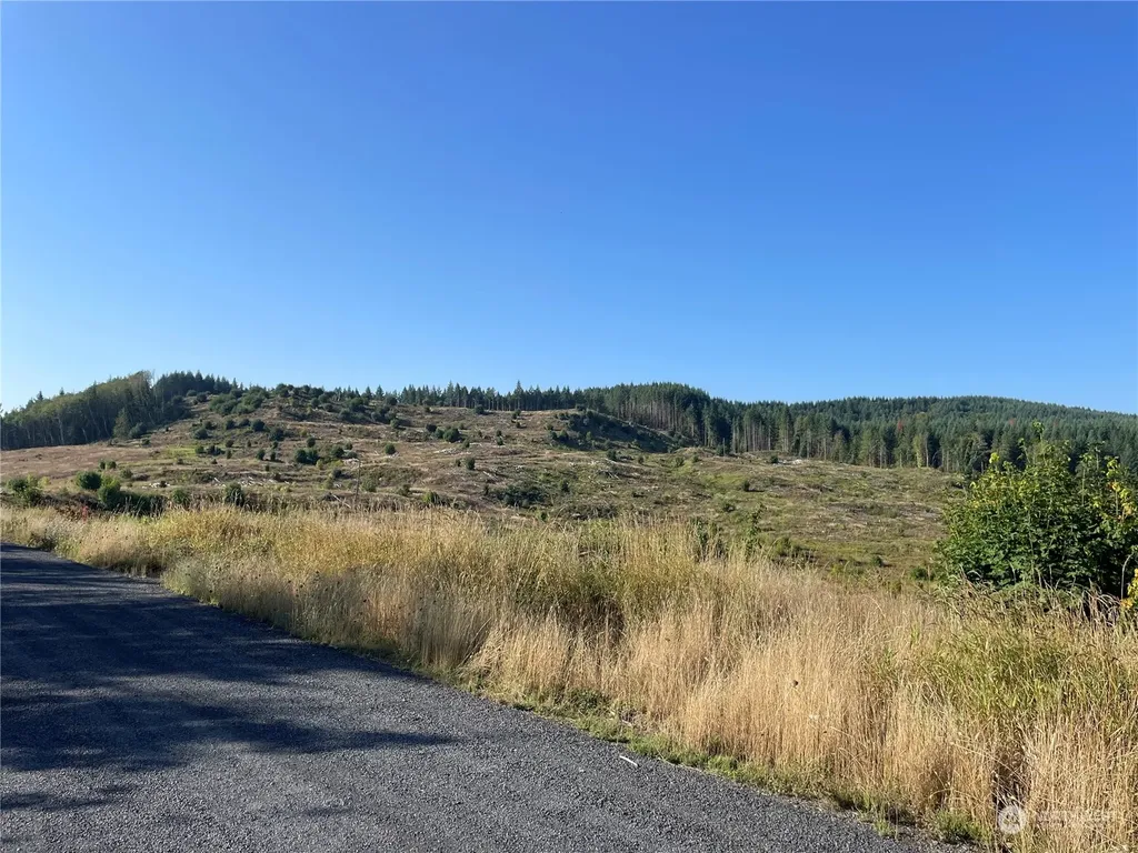 0 Salmon Creek Road Toledo WA 98591