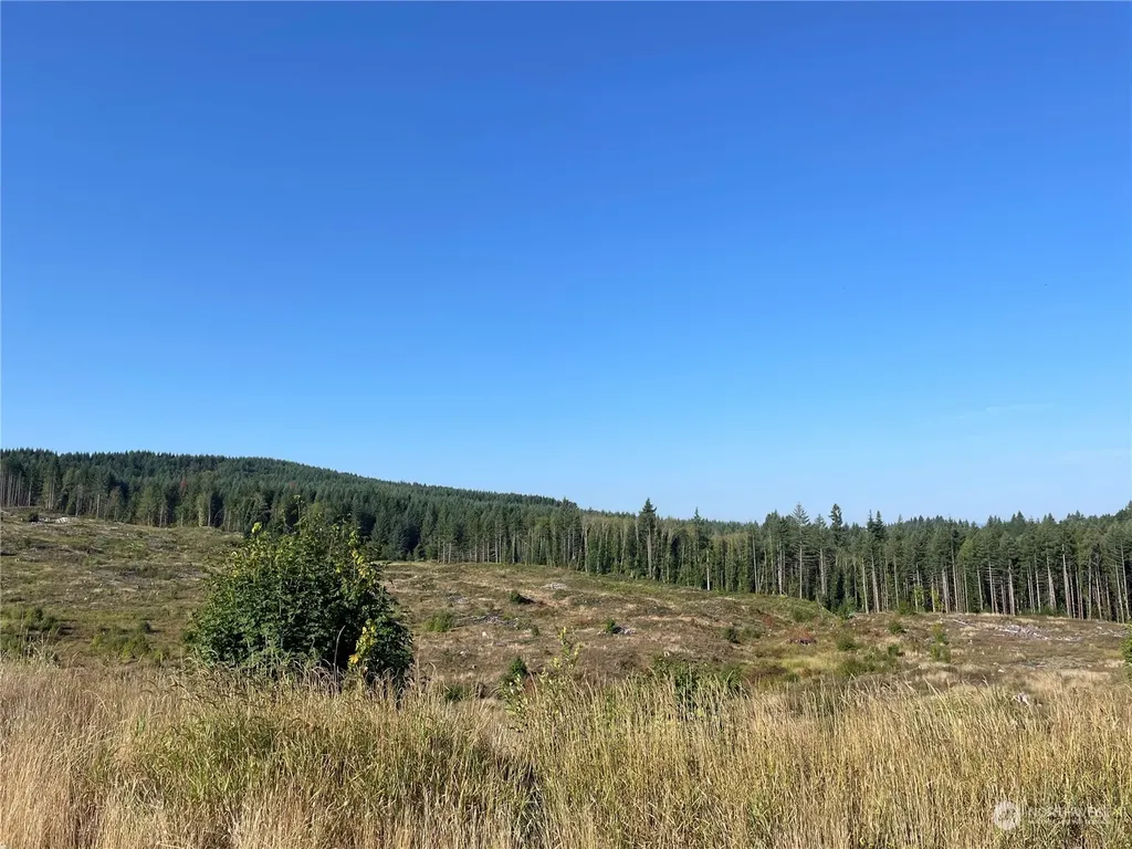 0 Salmon Creek Road Toledo WA 98591