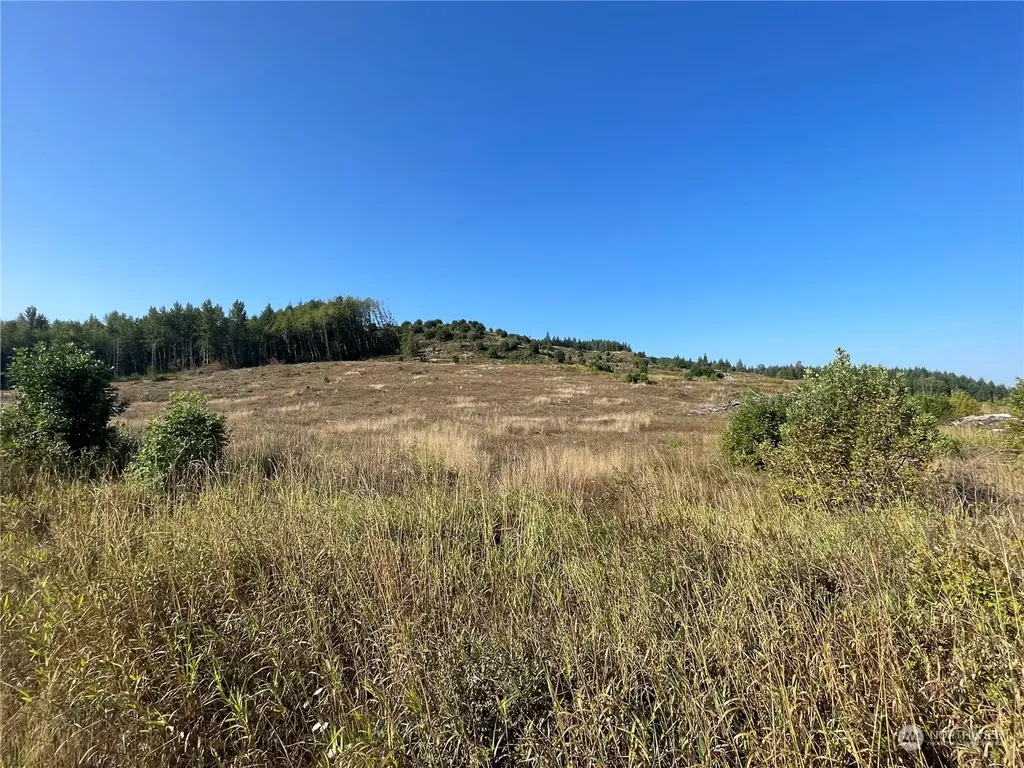 0 Salmon Creek Road Toledo WA 98591