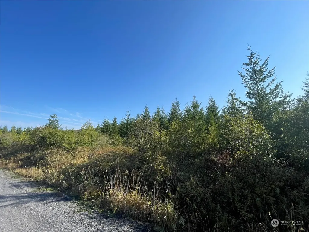0 Salmon Creek Road Toledo WA 98591