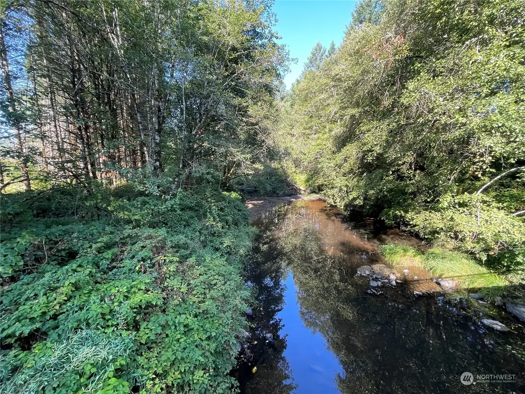 0 Salmon Creek Road Toledo WA 98591