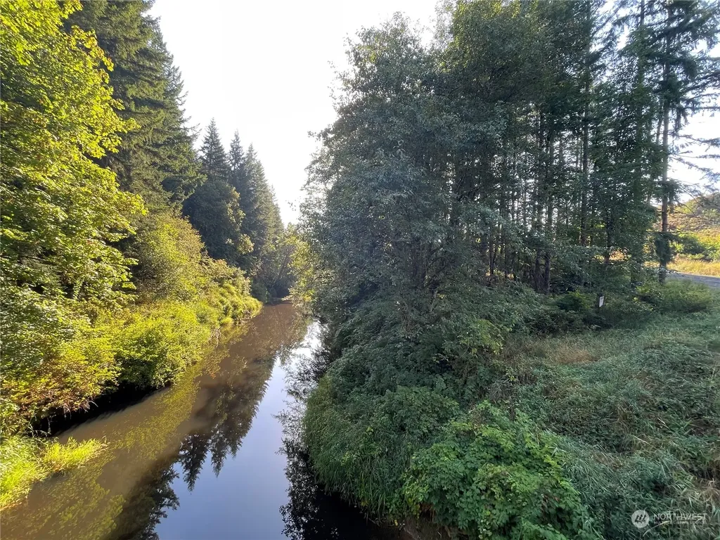 0 Salmon Creek Road Toledo WA 98591