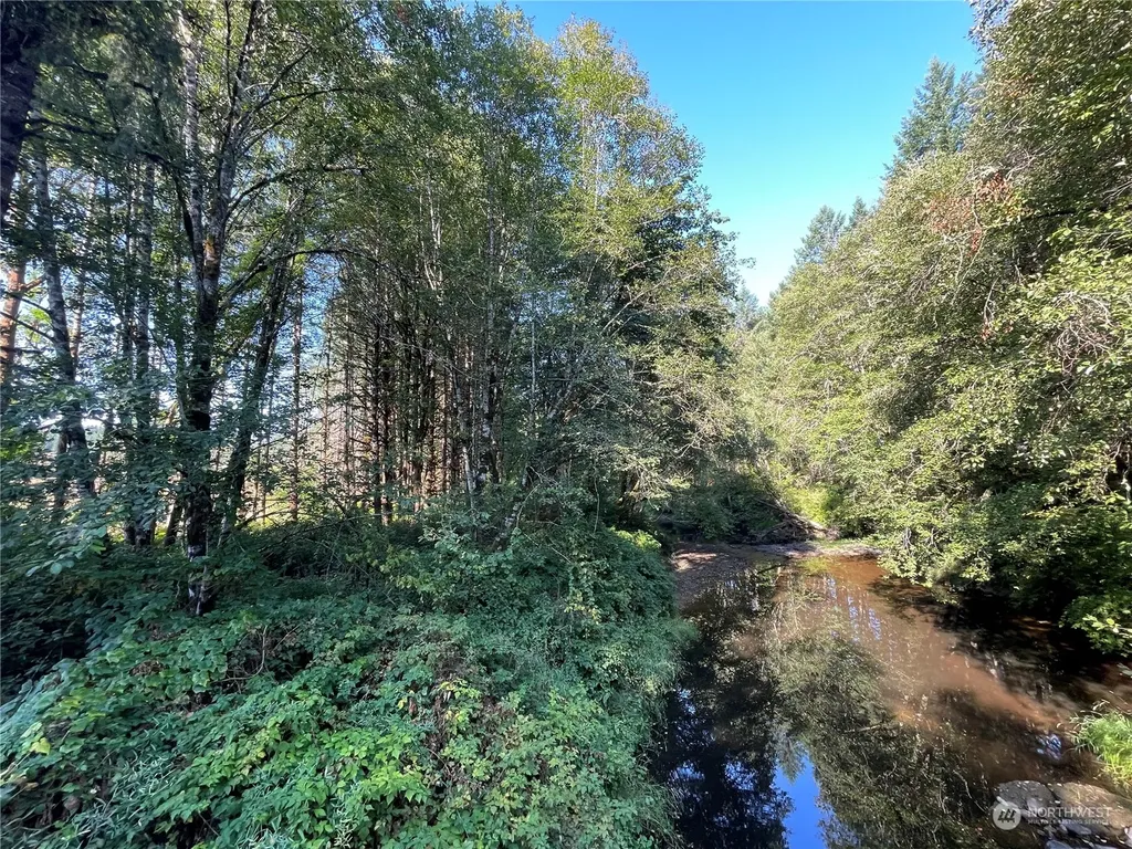 0 Salmon Creek Road Toledo WA 98591