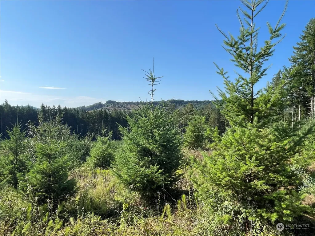 0 Salmon Creek Road Toledo WA 98591