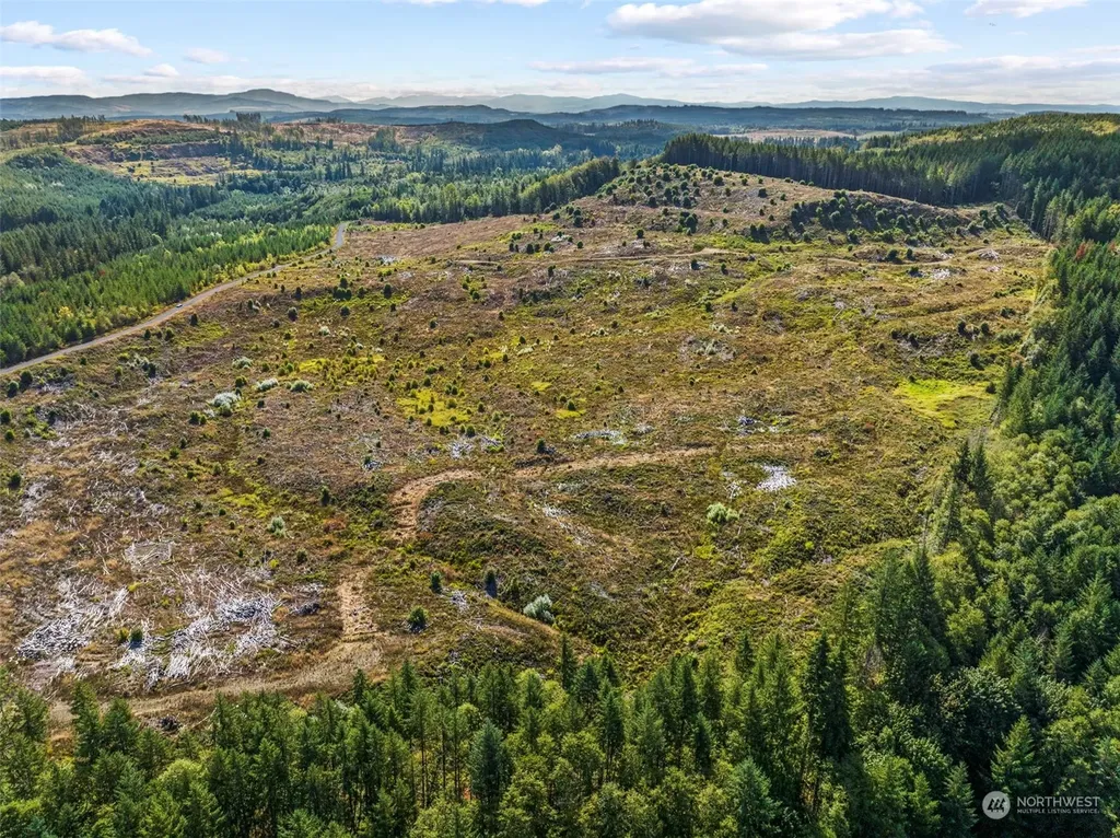 0 Salmon Creek Road Toledo WA 98591