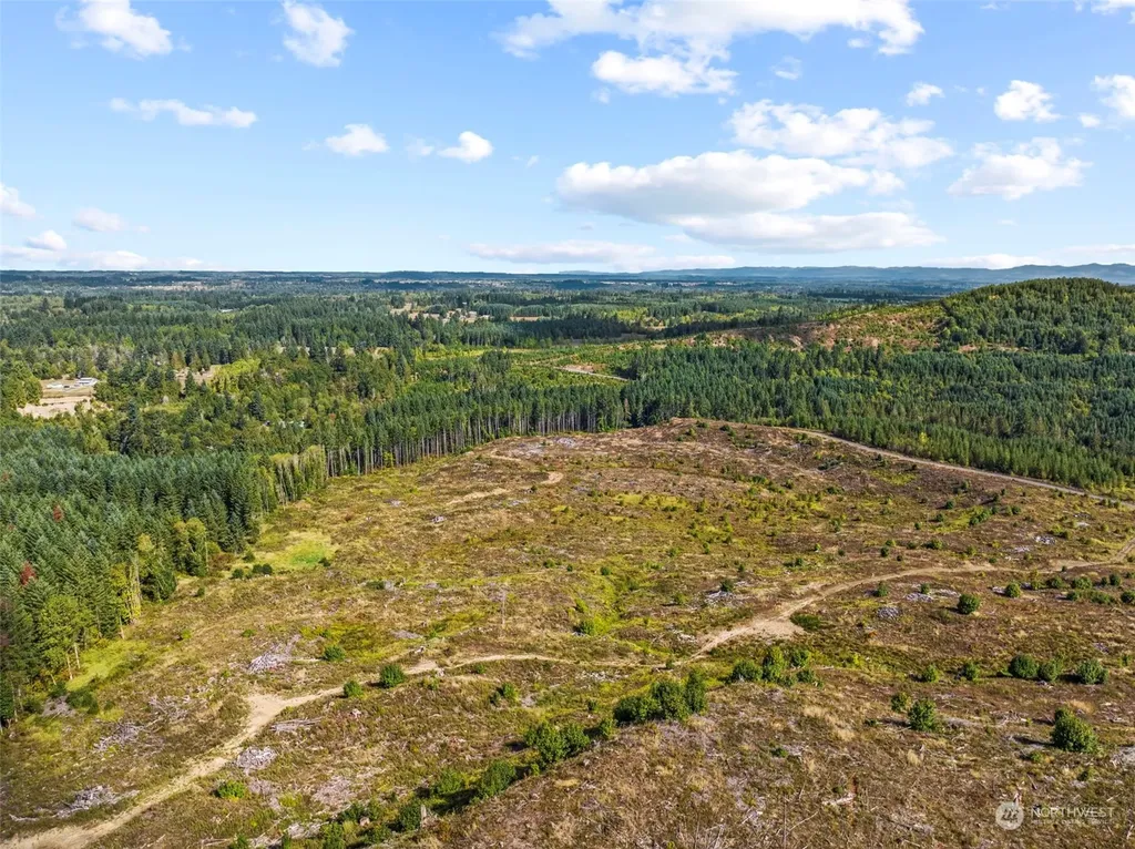 0 Salmon Creek Road Toledo WA 98591