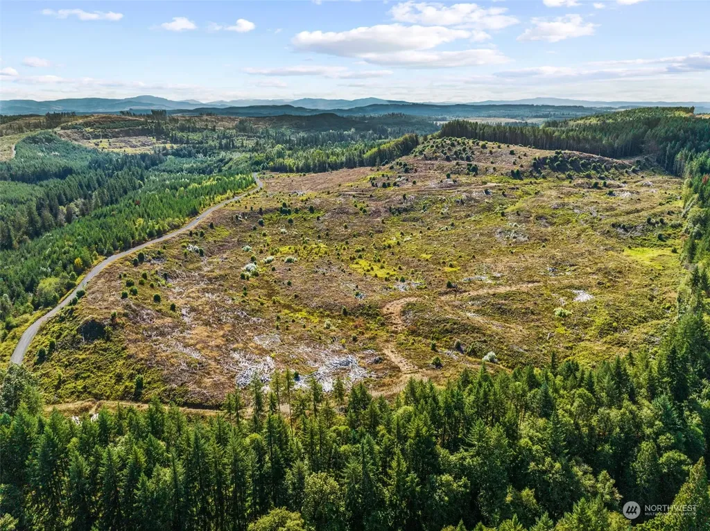 0 Salmon Creek Road Toledo WA 98591