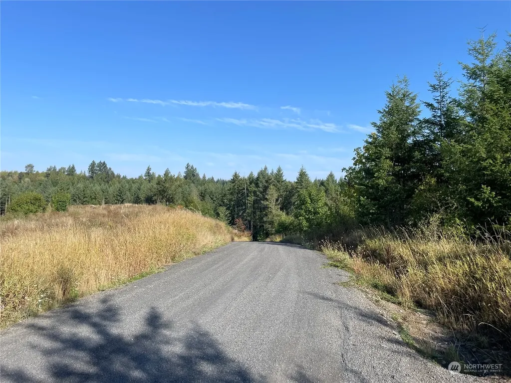0 Salmon Creek Road Toledo WA 98591