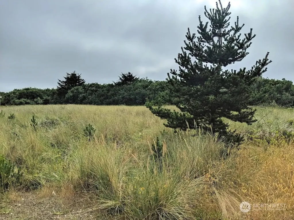 863 Ocean Shores Boulevard NW Ocean Shores WA 98569