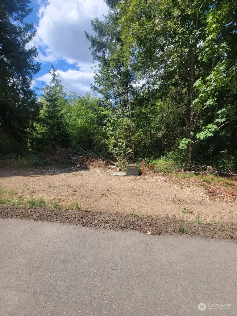 930 E Wilson Way Grapeview WA 98546